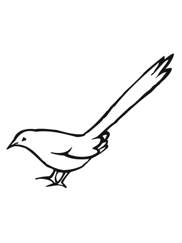Magpie Bird Coloring page