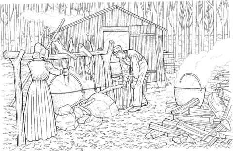 Making Maple Syrup Coloring page