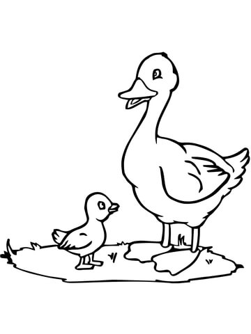 Mama Duck and Duckling Coloring page