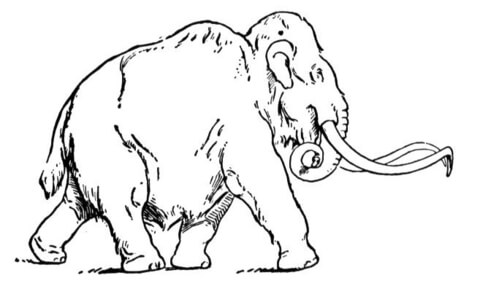 Woolly Mammoth Coloring page
