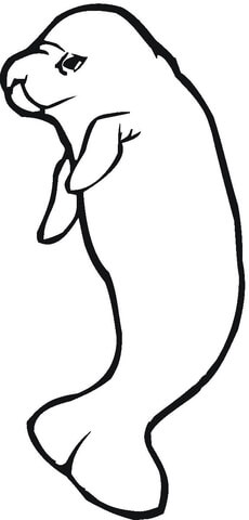 Manatee  Coloring page