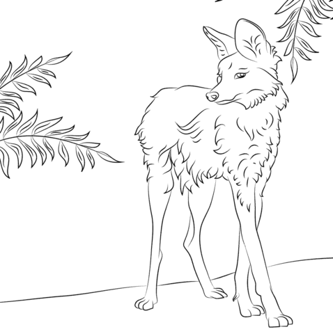 Cute Maned Wolf Coloring page