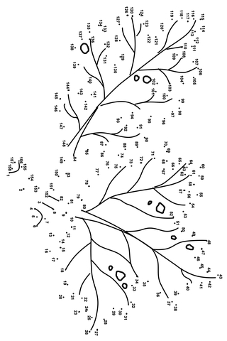 Maple Leaves Dot to dot