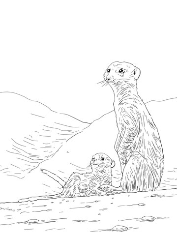 Meerkat Mother with Pup Coloring page