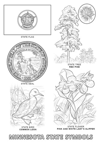 Minnesota State Symbols Coloring page