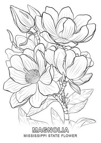 Mississippi State Flower Coloring page
