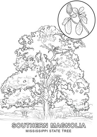 Mississippi State Tree Coloring page