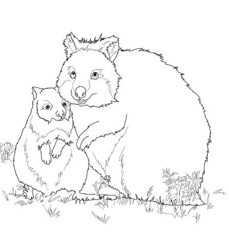 Mom and Baby Quokka Coloring page
