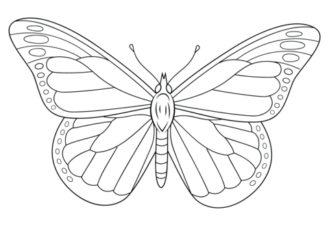 Monarch Butterfly Coloring page