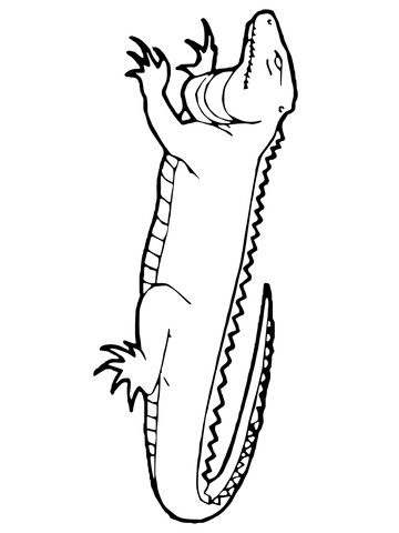 Monitor Lizard Coloring page