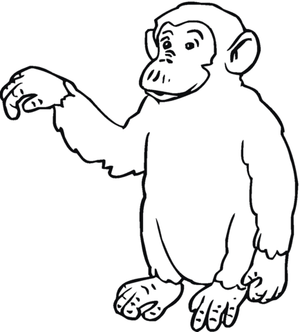 Chimp Says Hi Coloring page