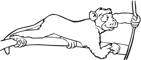 Monkey Holds A Root Coloring page