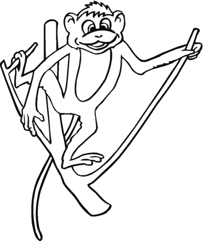Monkey Holds The Branch Coloring page