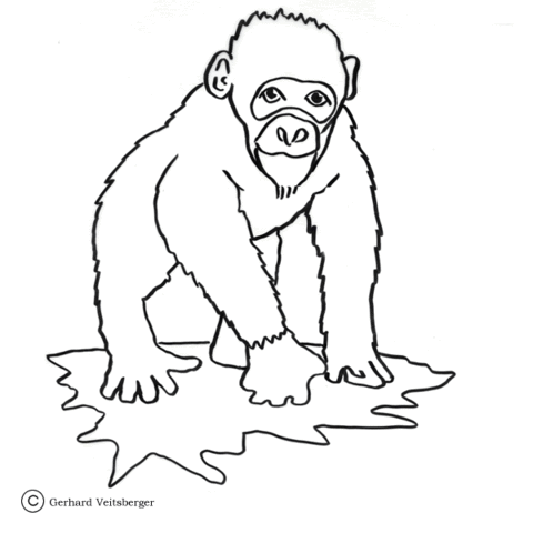 Chimp Ape Coloring page