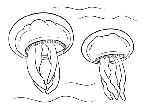 Moon Jellyfishes Coloring page