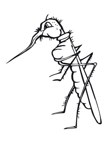Mosquito with Broken Proboscis Coloring page