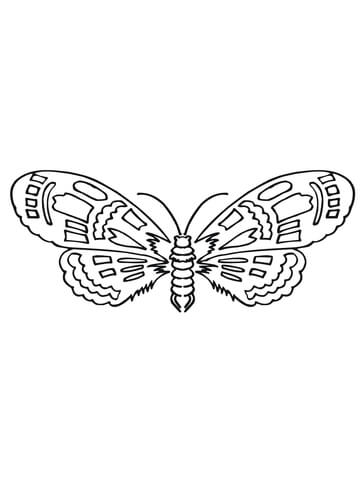 Moth Coloring page