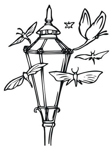 Moths and Lantern Coloring page