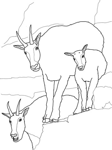 Mountain Goat Baby with Family Coloring page