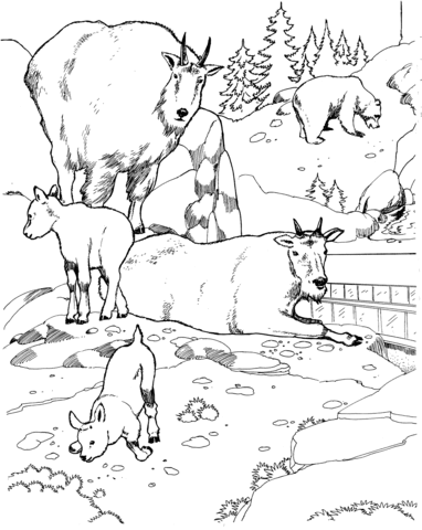 Mountain Goats and Black Bear in Zoo Coloring page