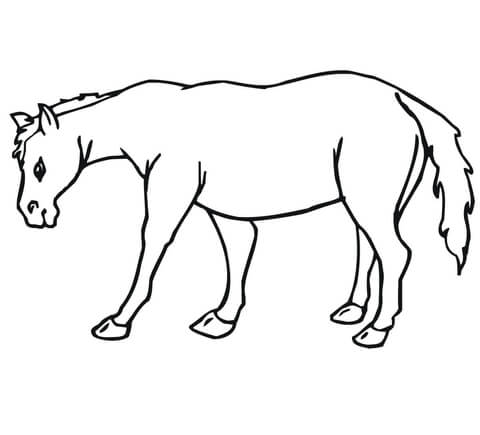 Mule Coloring page