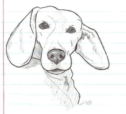 My Beagle Dog Lucky Coloring page