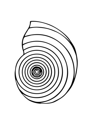Nautilus Shell Coloring page