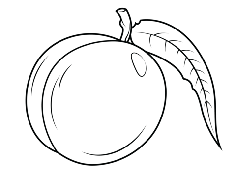 Nectarine with leaf Coloring page