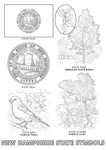 New Hampshire State Symbols Coloring page