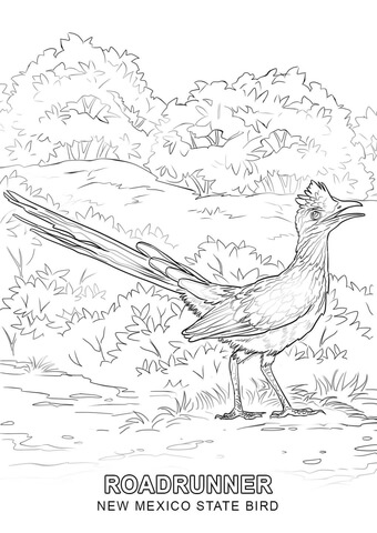 New Mexico State Bird Coloring page