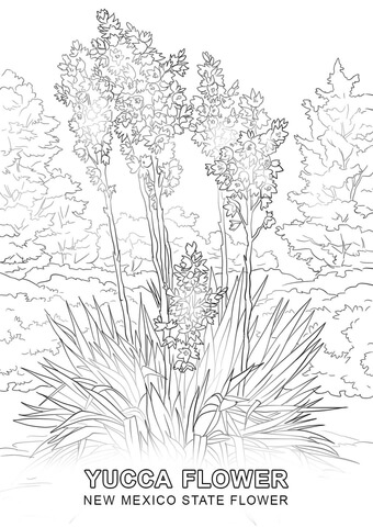 New Mexico State Flower Coloring page