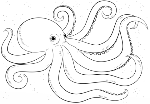 Cartoon Octopus Coloring page