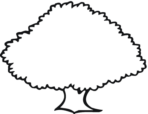 Old Oak Outline  Coloring page
