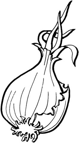 Onion 1 Coloring page