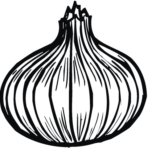 Onion 12 Coloring page