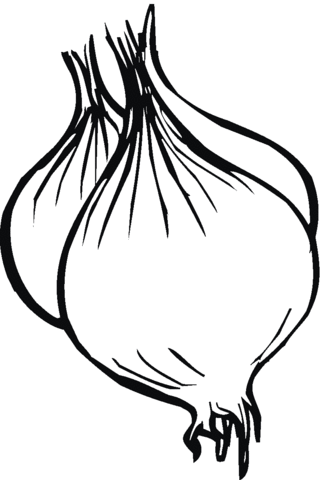 Three Onions Coloring page