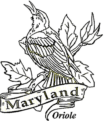Baltimore Oriole Of Maryland Coloring page