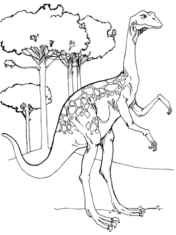 Ornithomimus Coloring page