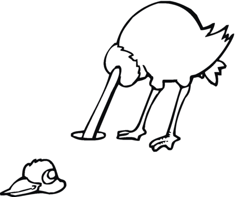 Ostrich Head in Ground  Coloring page
