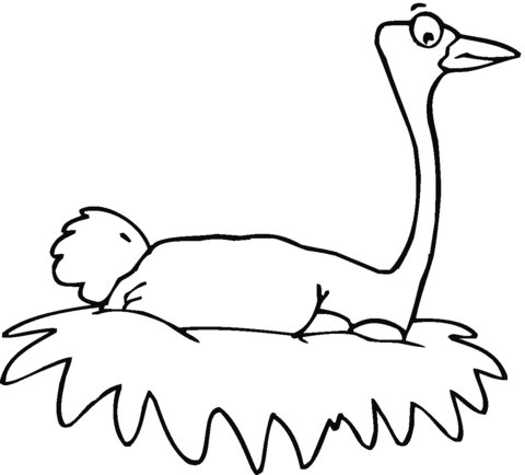 Ostrich Nesting Coloring page