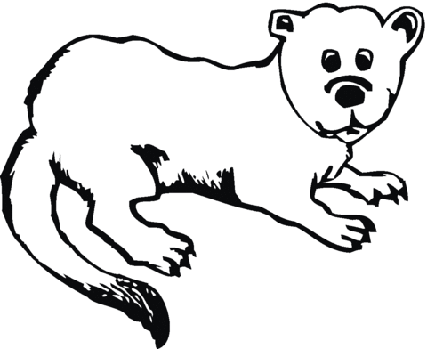 Otter 20 Coloring page