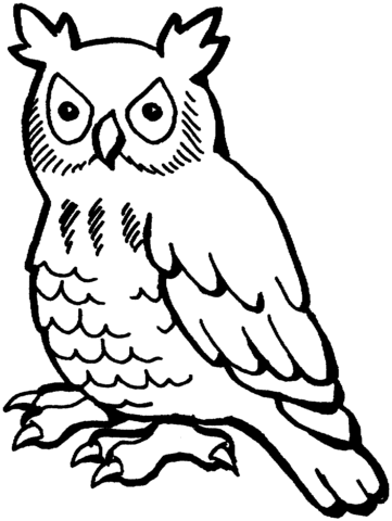 Owl 2 Coloring page
