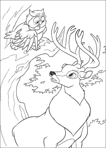 Owl And Roe  Coloring page