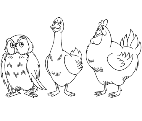 Owl Goose And Chicken Coloring page