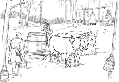 Oxen Pulling Sled with Maple Syrup Barrel Coloring page