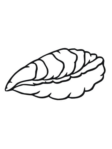 Oyster Coloring page