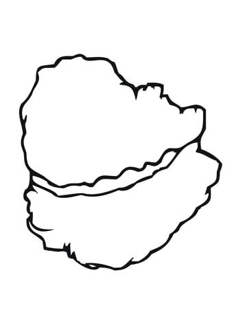 Oyster Shell Coloring page