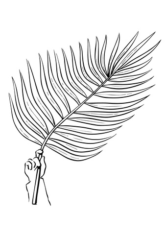 Palm Tree Branch Coloring page