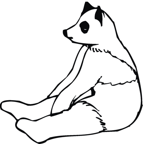 Panda 13 Coloring page