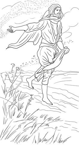 Parable of the Sower Coloring page